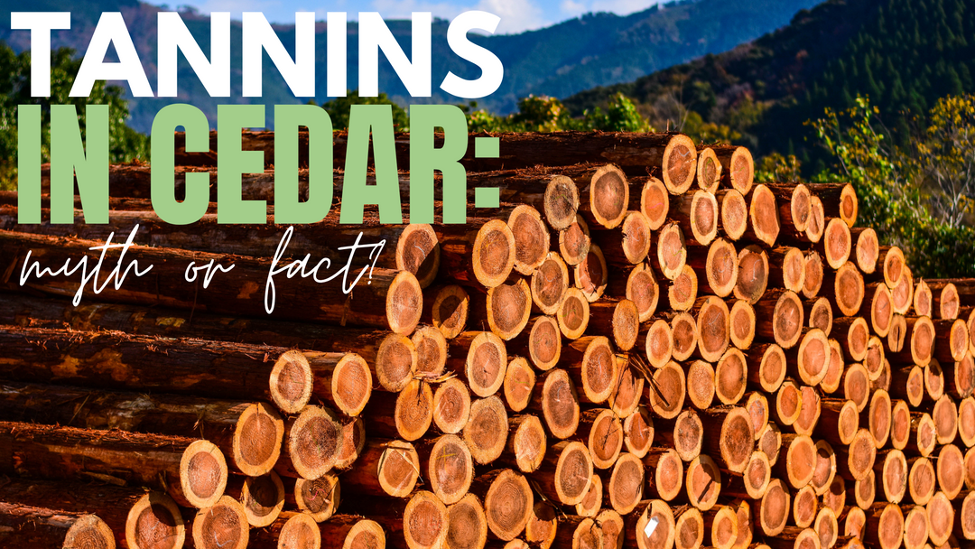 Tannins in Cedar?