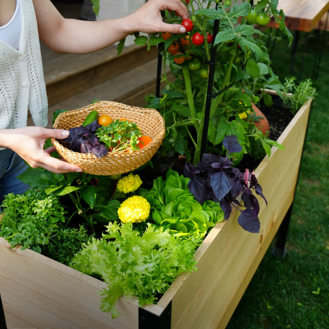 E-Book: Beginnersgids voor Moestuinieren op Hoogte