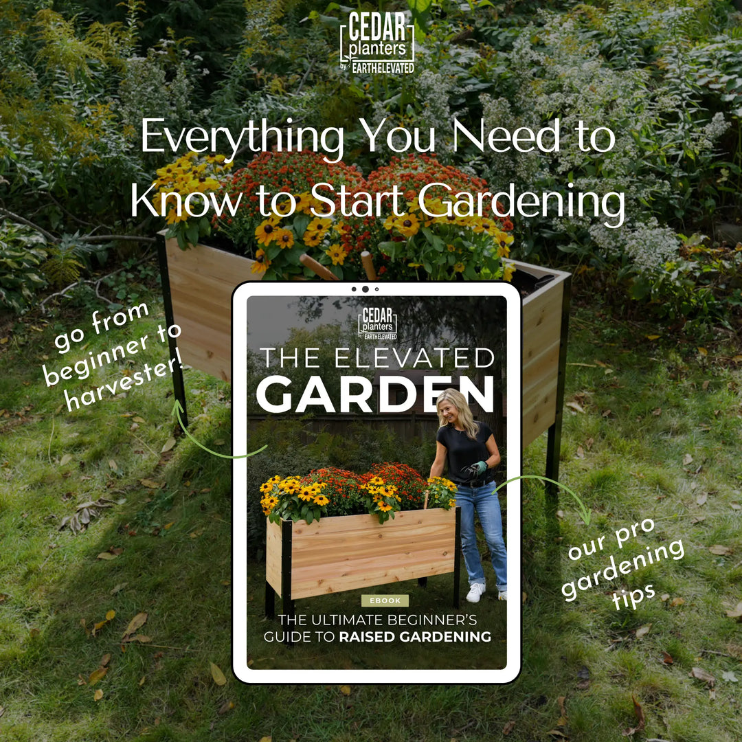 E-Book: Beginnersgids voor Moestuinieren op Hoogte