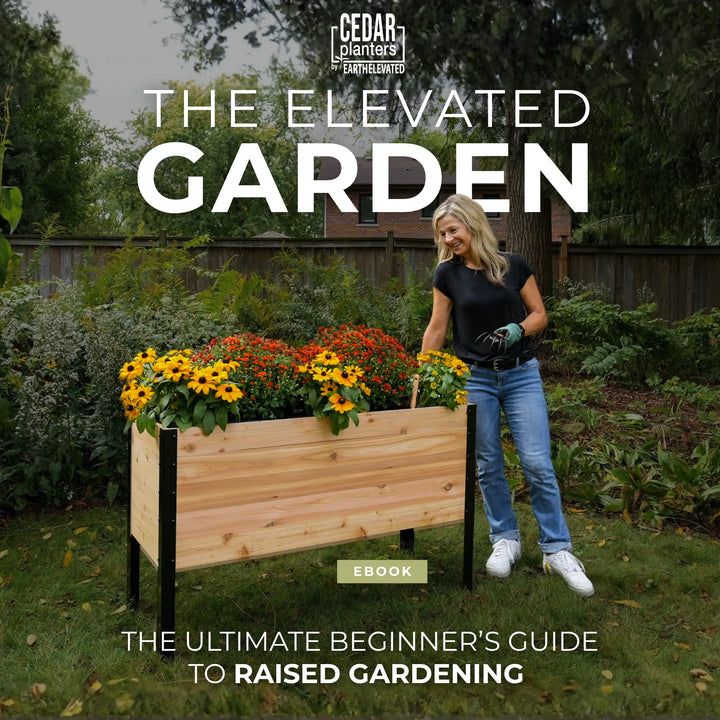 E-Book: Beginnersgids voor Moestuinieren op Hoogte