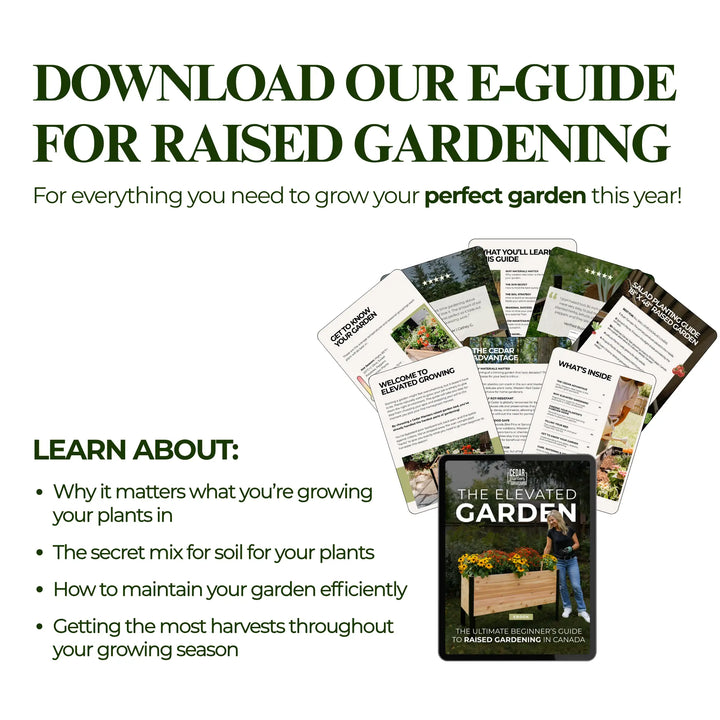 E-Book: Beginnersgids voor Moestuinieren op Hoogte